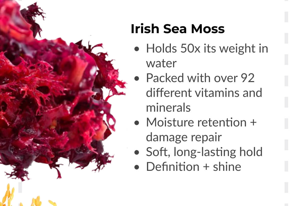 Irish Sea Moss: Holds 50x its weight in water. Packed with over 92 different vitamins and minerals. Moisture retention + damage repair. Soft, long-lasting hold. Definition + shine.