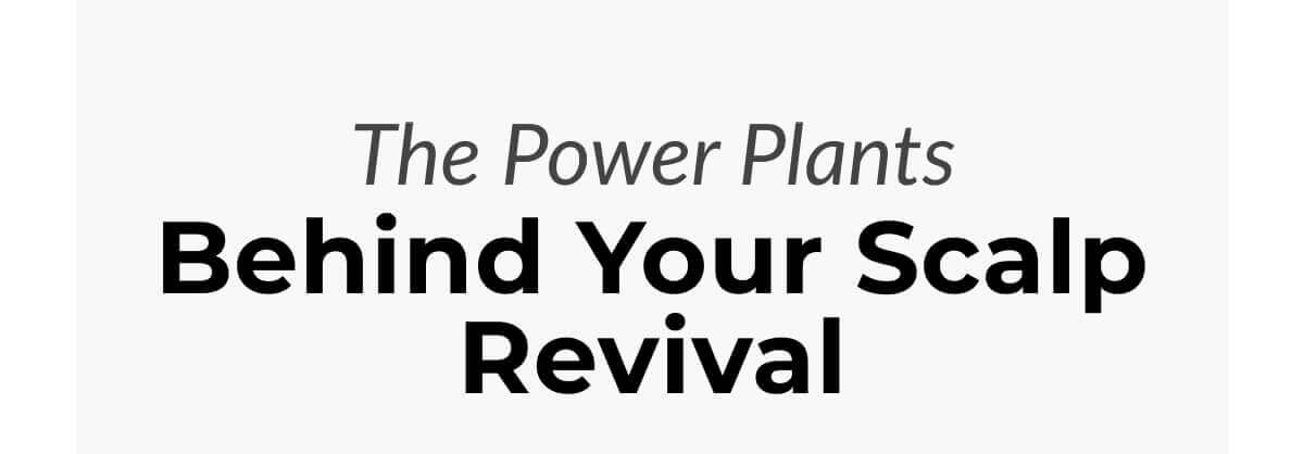 The Power Plants Behind Your Scalp Revival