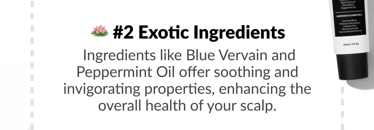 #2 Exotic Ingredients: Ingredients like Blue Vervain and Peppermint Oil offer soothing and invigorating properties, enhancing the overall health of your scalp.